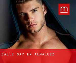 Calle Gay en Almaluez