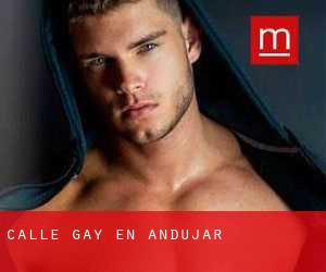 Calle Gay en Andújar
