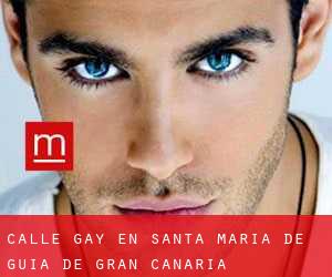Calle Gay en Santa María de Guía de Gran Canaria