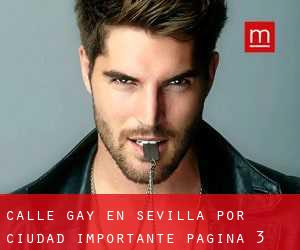 Calle Gay en Sevilla por ciudad importante - página 3