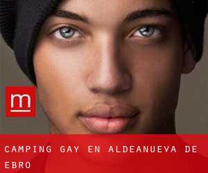 Camping Gay en Aldeanueva de Ebro