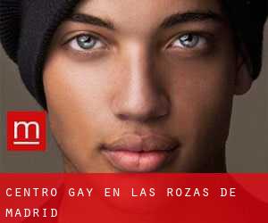 Centro Gay en Las Rozas de Madrid