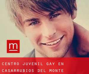 Centro Juvenil Gay en Casarrubios del Monte