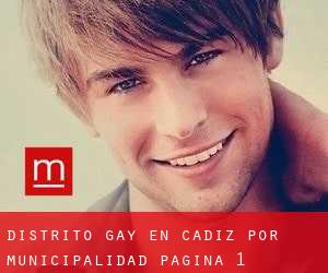 Distrito Gay en Cádiz por municipalidad - página 1