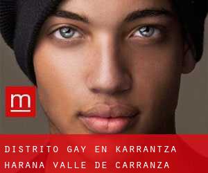 Distrito Gay en Karrantza Harana / Valle de Carranza
