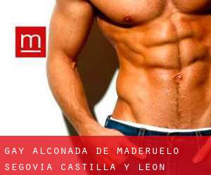 gay Alconada de Maderuelo (Segovia, Castilla y León)