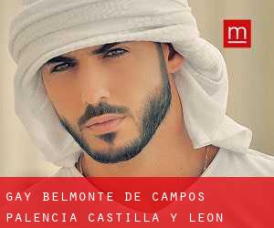 gay Belmonte de Campos (Palencia, Castilla y León)