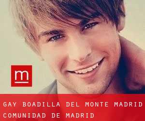 gay Boadilla del Monte (Madrid, Comunidad de Madrid)