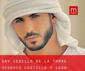 gay Cedillo de la Torre (Segovia, Castilla y León)