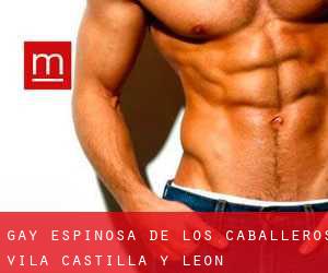 gay Espinosa de los Caballeros (Ávila, Castilla y León)