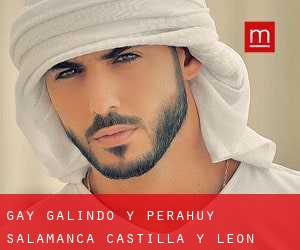 gay Galindo y Perahuy (Salamanca, Castilla y León)