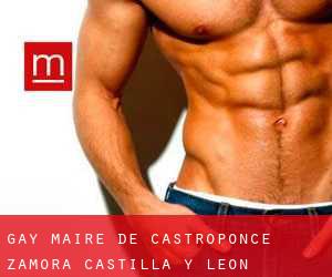 gay Maire de Castroponce (Zamora, Castilla y León)