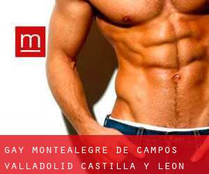 gay Montealegre de Campos (Valladolid, Castilla y León)