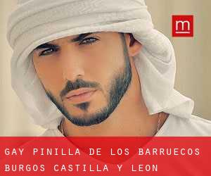 gay Pinilla de los Barruecos (Burgos, Castilla y León)