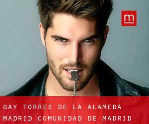 gay Torres de la Alameda (Madrid, Comunidad de Madrid)