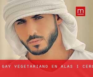 Gay Vegetariano en Alàs i Cerc