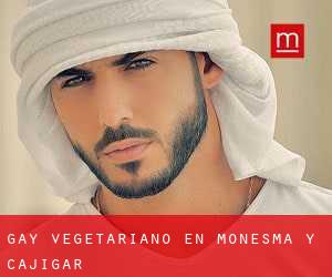 Gay Vegetariano en Monesma y Cajigar