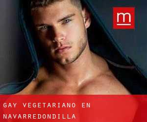 Gay Vegetariano en Navarredondilla