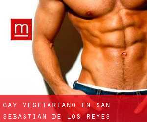 Gay Vegetariano en San Sebastián de los Reyes