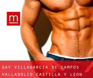 gay Villagarcía de Campos (Valladolid, Castilla y León)