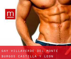 gay Villaverde del Monte (Burgos, Castilla y León)