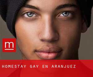 Homestay Gay en Aranjuez
