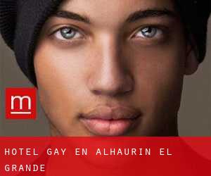 Hotel Gay en Alhaurín el Grande