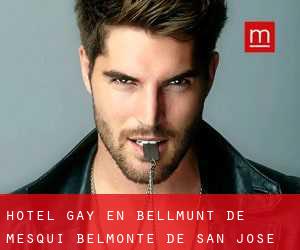 Hotel Gay en Bellmunt de Mesquí / Belmonte de San José
