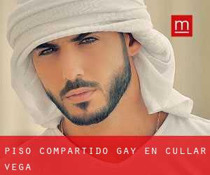 Piso Compartido Gay en Cúllar-Vega