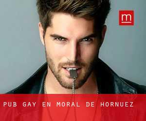 Pub Gay en Moral de Hornuez