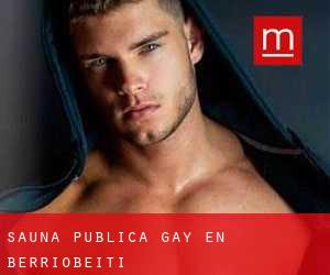 Sauna Pública Gay en Berriobeiti