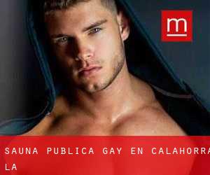 Sauna Pública Gay en Calahorra (La)