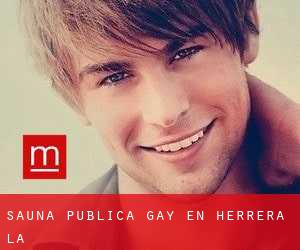 Sauna Pública Gay en Herrera (La)