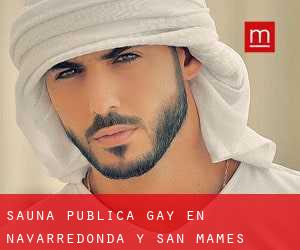 Sauna Pública Gay en Navarredonda y San Mamés