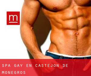 Spa Gay en Castejón de Monegros